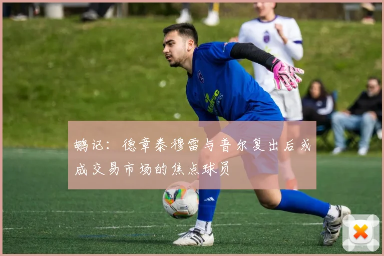 鹕记：德章泰穆雷与普尔复出后或成交易市场的焦点球员