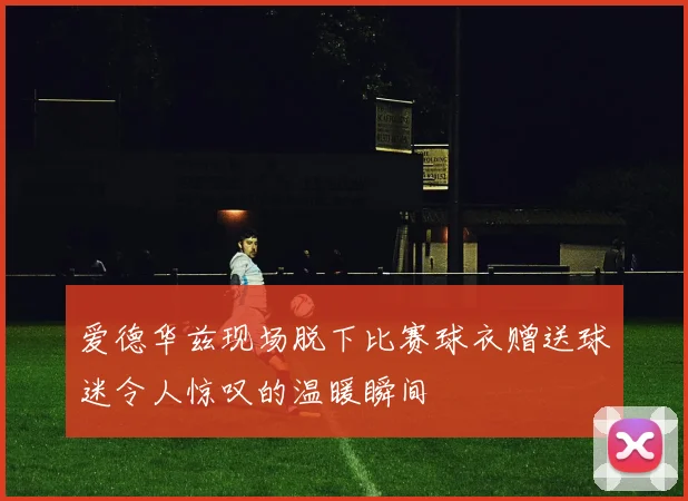 爱德华兹现场脱下比赛球衣赠送球迷令人惊叹的温暖瞬间